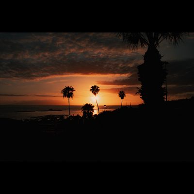 Digital Wallpaper Pack